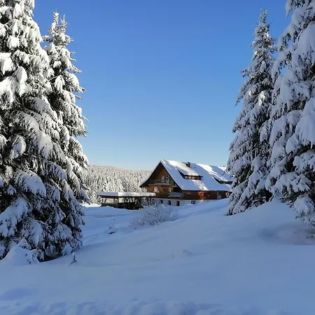 Ferienwohnung Heustueble Hinterzarten Zewnętrze zdjęcie
