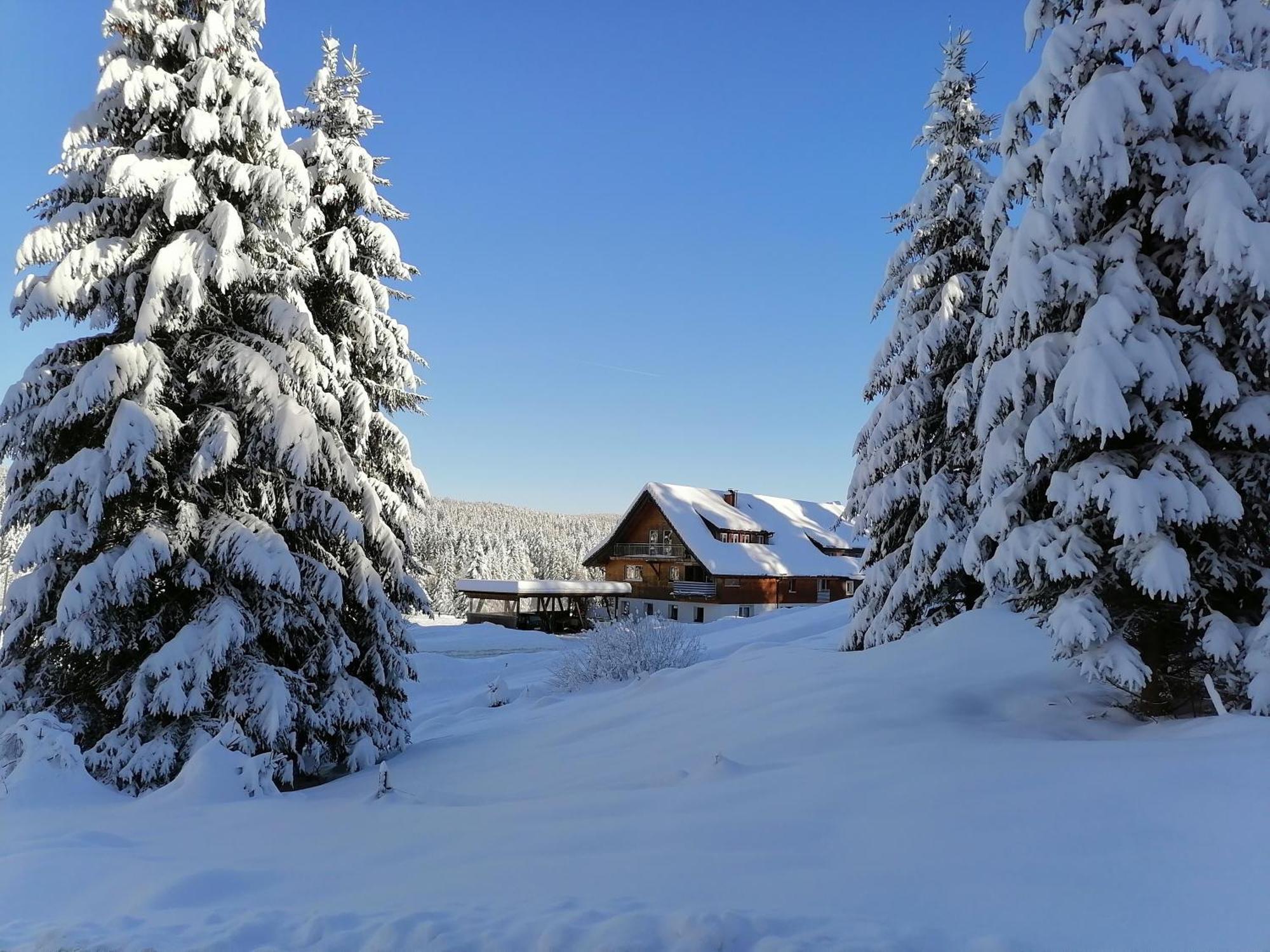 Apartment Heustüble Hinterzarten